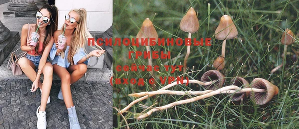 стаф Нягань
