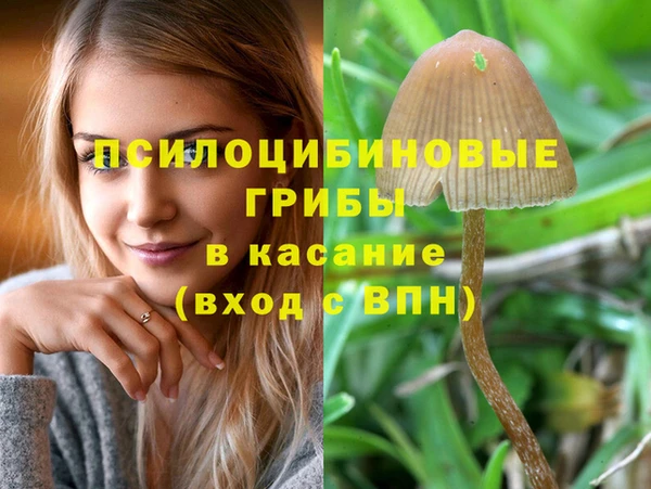 бутират Няндома