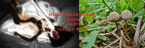 стаф Нягань